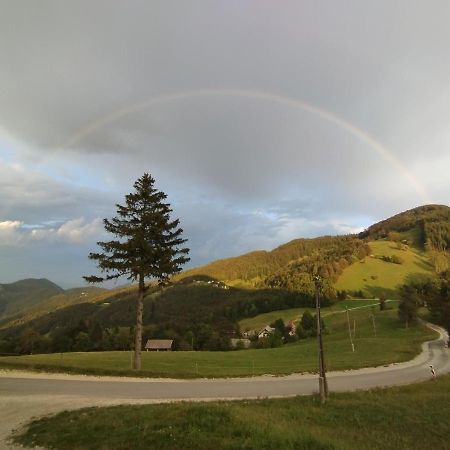 Planinski Dom Vrhe Hotel Trbovlje Bagian luar foto