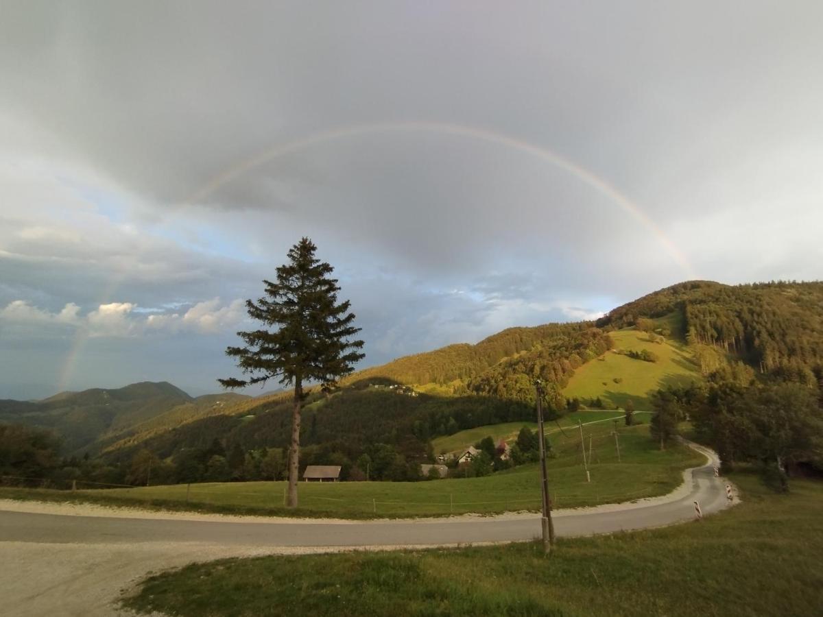 Planinski Dom Vrhe Hotel Trbovlje Bagian luar foto